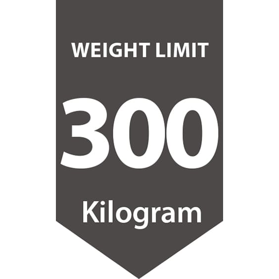 300kg