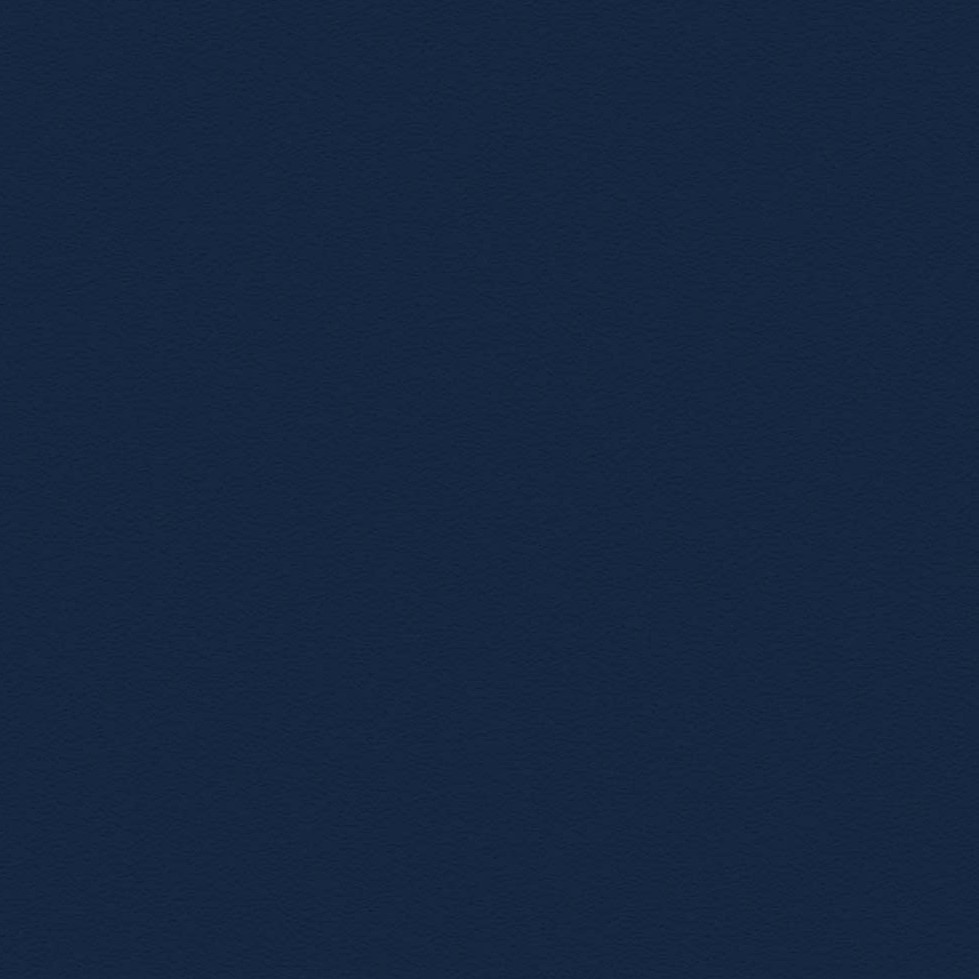 French Navy