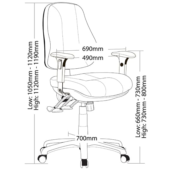 Molta C with dimension