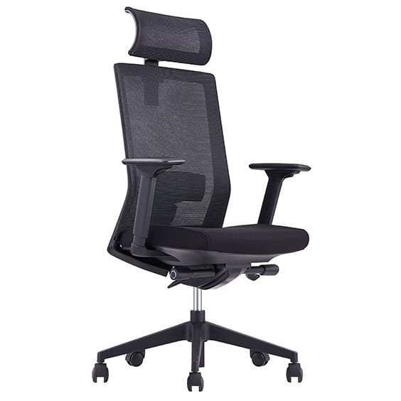 Executive Chairs - Mesh