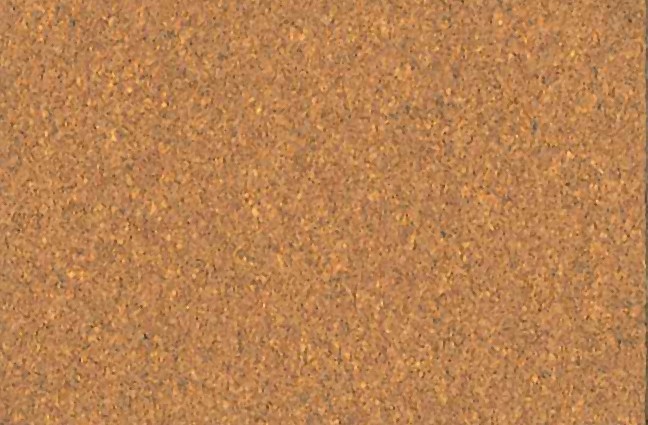 Nutmeg_Spice