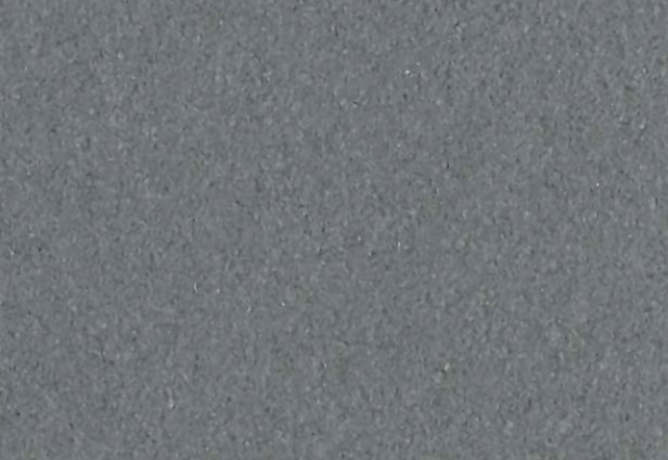 Poppy_Seed